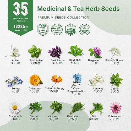35 Medicinal & Tea Herb Seeds Variety Pack for Indoor & Outdoors. 16,335+ Non-GMO Heirloom Garden Seeds: Anise, Bergamot, Borage, Cilantro, Chamomile, Dandelion, Rosemary Seeds & More thumbnail 3