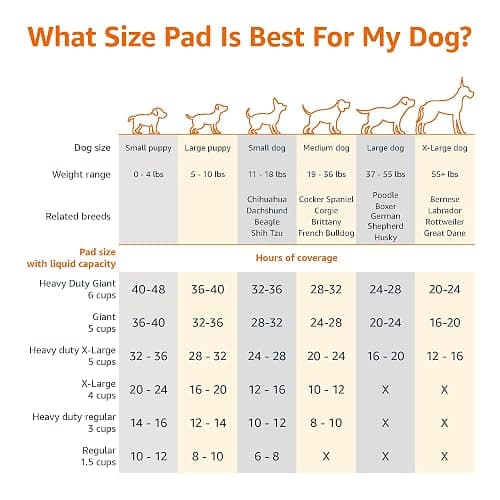Amazon Basics Dog and Puppy Pee Pads, 5-Layer Leak-Proof Super Absorbent, Quick-Dry Surface, Potty Training, Regular (22x22"), 50 Count, Blue & White thumbnail 4
