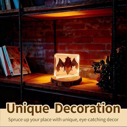 Artojoy Taxidermy Bat, Real Bat Specimens Animal Specimen Preserved in Resin, Gothic Decor Display for Science Classroom Science Education, Gift for Fans of Taxidermy, Oddities, Biology thumbnail 6