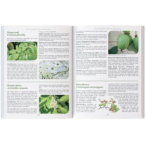 The Lost Book of Herbal Remedies thumbnail 7