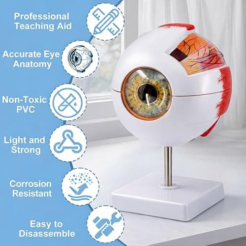 Eye Anatomy Model, 6X Enlarged Eyeball Model, Human Eye Anatomical Model for Science Education Students Study Display Medical Teaching, with Removable Stand thumbnail 7