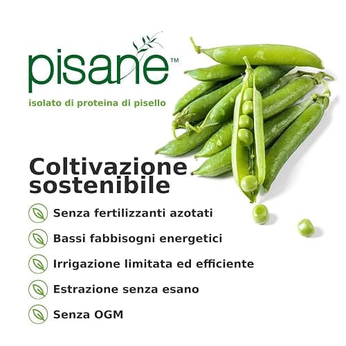 Weider Vegan Protein (750g) Gusto Cioccolato. Proteine Vegane 21g/dose isolate di piselli e riso, Con Vitamina B12 e Stevia, Senza Glutine, Senza Zucchero, Contenitore 50% Riciclato, 100% Riciclabile - 750g - CIOCCOLATO BROWNIE thumbnail 5