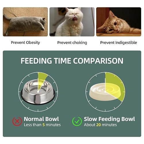 Havniva Ceramic Slow Cat Feeder Set, Raised 6.1-inch Slow Cat Food Dish and 5.1-inch Water Bowl with Wooden Stand, Circle Shape. (2 x Bowl with Stand - Beige, 6inch) thumbnail 3
