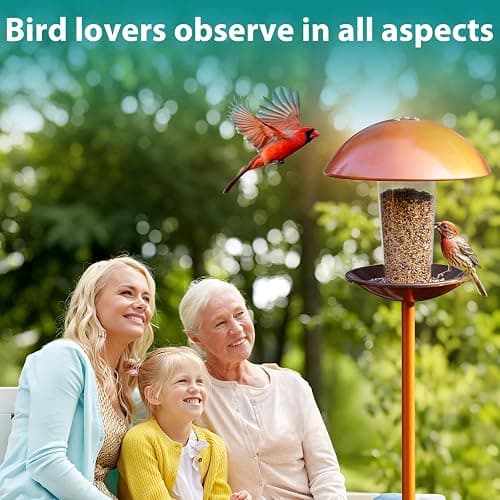 Goodeco Bird Feeder with Pole Standing - Metal Outdoor Bird Feeder for Wild Small Birds, Perfect for Yard Lawn Garden & Patio Decorations, Ideal Gifts for Mom Dad Grandparents (Round) thumbnail 6