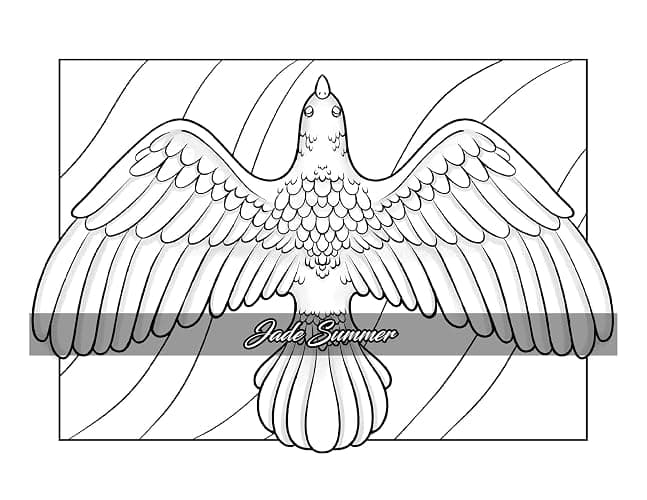 Minimalist Art: Adult Coloring Book for Women and Teens with Easy Boho Designs for Stress Relief and Relaxation (Easy Coloring Books) thumbnail 35