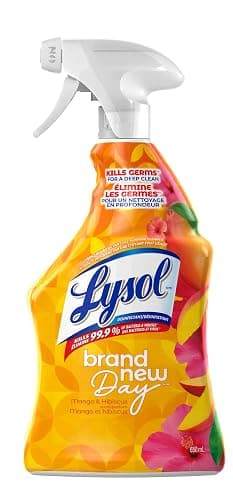 Lysol Brand New Day All Purpose Cleaner, Mango & Hibiscus, 650 mL | Grease Fighting, Multi Surface Cleaner Trigger Spray, Removes Soap Scum - Image 1