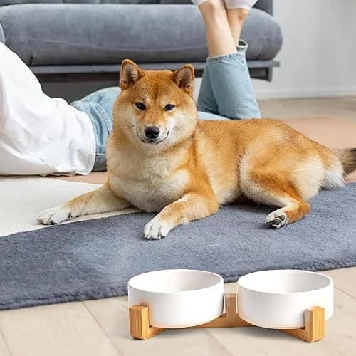 Kimdio Ceramic Dog Bowls with Wood Stand, 13.5OZ Pet Bowls Set of 2 for Medium Small Dogs and Cats - Non-Slip Base Cute Pet Food & Water Basic Bowls Glaze Matte-White thumbnail 8