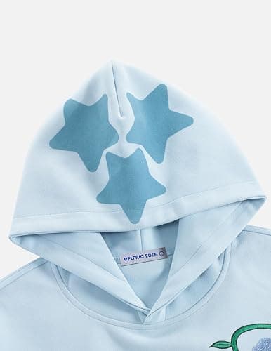 Aelfric Eden Floral Eden Star Pullover Hoodie Embroidery Graphic Hoodies Y2K Oversized Hooded Sweatshirt thumbnail 7