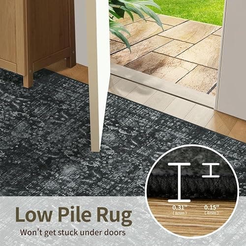 Rugxara 4x6 Rug for Living Room Bedroom, Black Washable Throw Rugs, Vintage Retro Boho Area Rugs, Non Slip & Low Pile Accent Throw Carpet for Indoor Dining Room, Kids Room and Office(Black 4x6ft) thumbnail 6