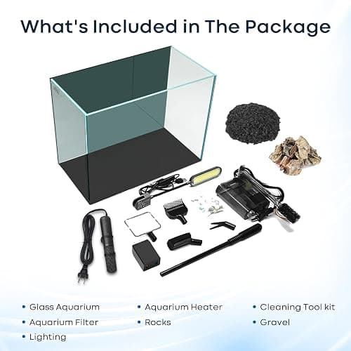 Wonderfactory 5 Gallon Small Aquarium Set Glass Fish Tank 6 Gallon, Starter Kit with Heater Water Pump Cleaning System Filter Bright Light Rocks Gravel Cleaning Tool, Clear Rimless Betta Plants thumbnail 6