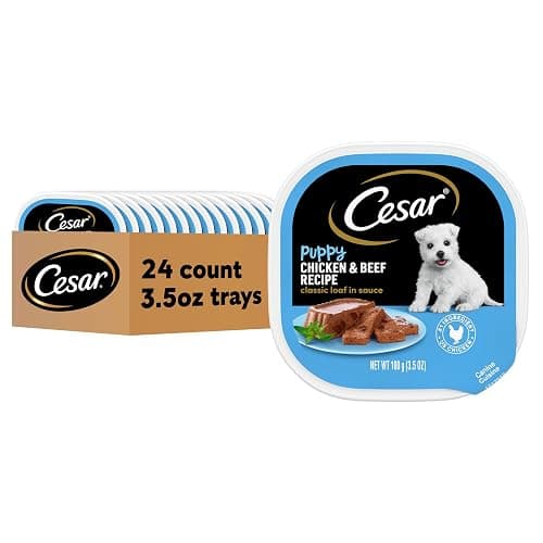 Cesar Puppy Classic Loaf in Sauce Wet Dog Food, Chicken & Beef Recipe, 3.5 oz. Easy Peel Trays, Dog Food Toppers, 24 Count (Pack of 1) - Image 1