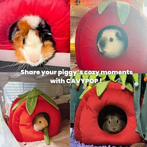 CAVYPOP Guinea Pig Hideout Bed, Tomato-Shaped Bottomless Plush House | Cute tomato design. Bottomless easy-clean structure. Thick plush comfort. Cozy hideout for guinea pigs thumbnail 3