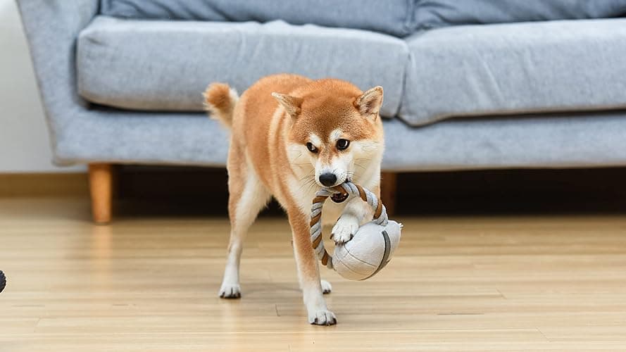 STAR WARS for Pets THE Mandalorian Rope Ring with Plush Head Dog Toy | THE Mandalorian Chew Toy for Dogs | Dog Toys, Dog Tug Toys, Tug of War Dog Chew Toys | Gifts for Fans of Star Wars thumbnail 4
