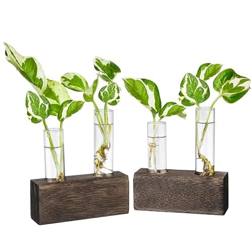 Propagation Station, Plants Terrarium, Plants Lover Gifts for Women,Plant Cutting Holder Home décor,Gifts for Women,House Warming New Home-4 Tubes-Brown - Image 1