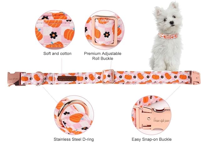 Unique style paws Dog Collar Metal Buckle Collar for Autumn Winter Christmas for Small Medium Large Boys Girls Dogs thumbnail 2