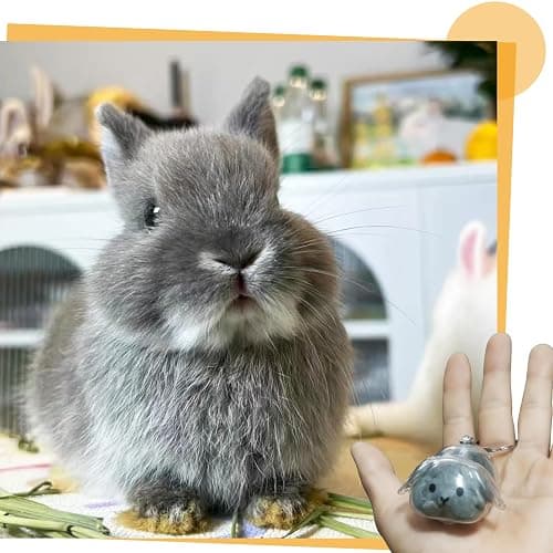 CUTENNIOU Rabbit Fur Keepsake Cute Rabbit Hair Keychain, Transparent Pet Fur Memorial Keepsake Collector, Bunny Lover Collecting Gift thumbnail 2