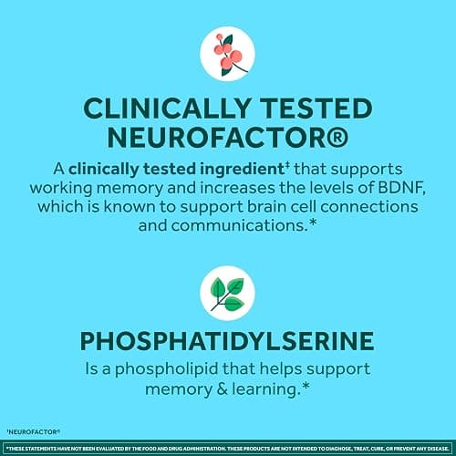 NEURIVA Plus Brain Supplements for Memory and Focus, Clinically Tested Nootropics Neurofactor and Phosphatidylserine, with Vitamin B12, Vitamin B6 and Folic Acid, 30 Count Capsules | Brian Supplements for Memory and Focus, Phosphatidylserine, Vitamin B12, Vitamin B6, Neurofactor, Decaffeinated Nootropic thumbnail 4