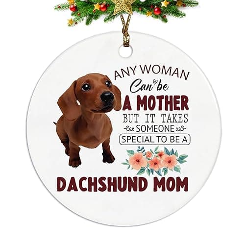 Dachshund Ornaments for Christmas Tree, Ceramic Hanging Decorative Gifts for Women Mom, Weiner Dog Gifts for Dogs Mom Ceramic Ornaments, Dachshund Decorative Hanging Ornament - Image 1