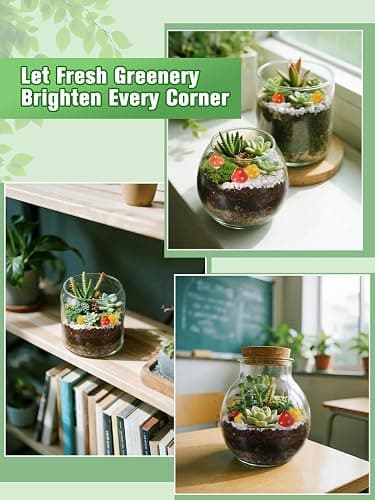 Terrarium Kit Adults - Includes Pumice, Moss, Soil, Pebbles, Charcoal, 2 Tools, Mushroom Ornaments for Succulent Cactus, Christmas Terrarium Accessories Decor Gifts for Starter Women thumbnail 7