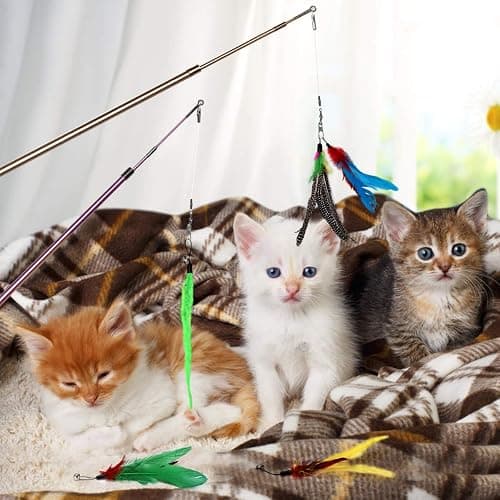 Bojafa Cat Toys for Indoor Cats Adult: Interactive Kitten Feather Wand Toys - 15Pcs Cat Teaser Toys - 15Pack thumbnail 6