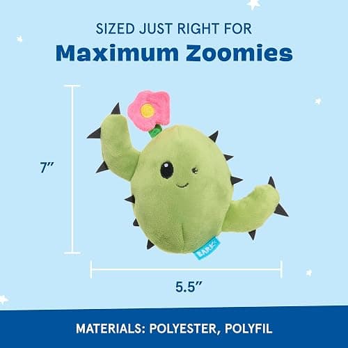 Barkbox Consuela The Cactus 2-in-1 Interactive Plush Dog Toy - Squeaky Dog Chew Toy with Crinkle Layers - for Large Dogs and Puppies thumbnail 3