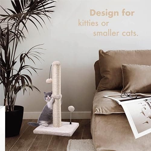 MECOOL Cat Scratching Post Premium Basics Kitten Scratcher Sisal Scratch Posts with Hanging Ball 22in for Kittens or Smaller Cats (22 inches for Kitten, Beige) thumbnail 5