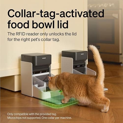 PETLIBRO Automatic Cat Feeders for 2 Cats, RFID Collar Tag for Exclusive Meals, Cats Recognition to Stop Food Stealing, Diet Tracking for Multi-Pet Homes and Different Diets, Pet Feeder Pack of 2 thumbnail 3