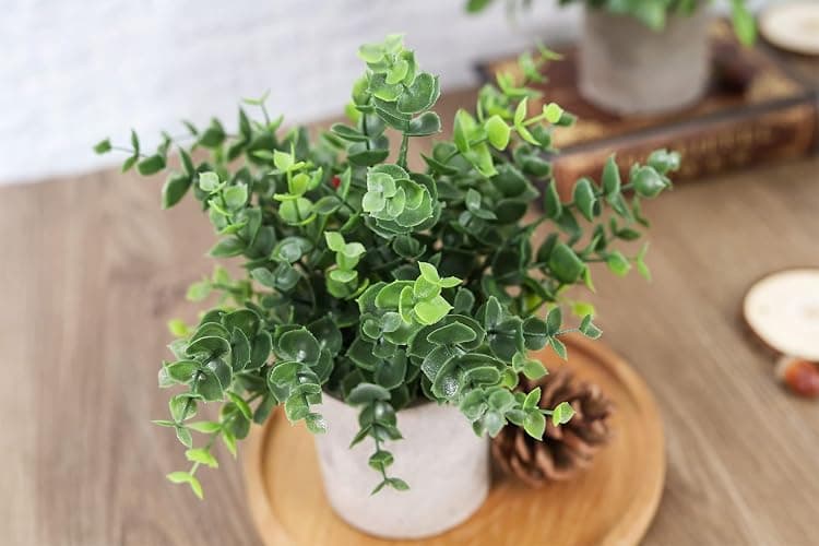 Der Rose 3 Pack Mini Potted Fake Plants Artificial Plastic Eucalyptus Plants Centerpieces for Table Home Office Desk Accessories Farmhouse Room Classroom Decor thumbnail 4