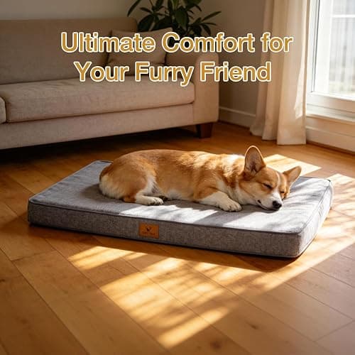 Flex Grid Memory Foam Dog Bed for Large Dogs, Large Washable Dog Bed with Removable Cover, Flex Grid Memory Foam Support & Anti-Slip Bottom, Joint Relief Pet Sleeping Mat for Dogs (Grey, Medium) thumbnail 3