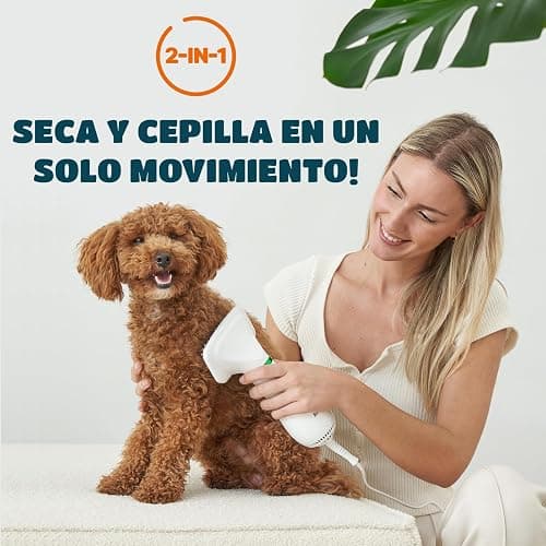 Secador de Pelo para Mascotas | Secador de Pelo Portátil y Silencioso 2 en 1 con un Cepillo Práctico | Temperatura Ajustable | para Perros y Gatos Pequeños y Medianos thumbnail 2