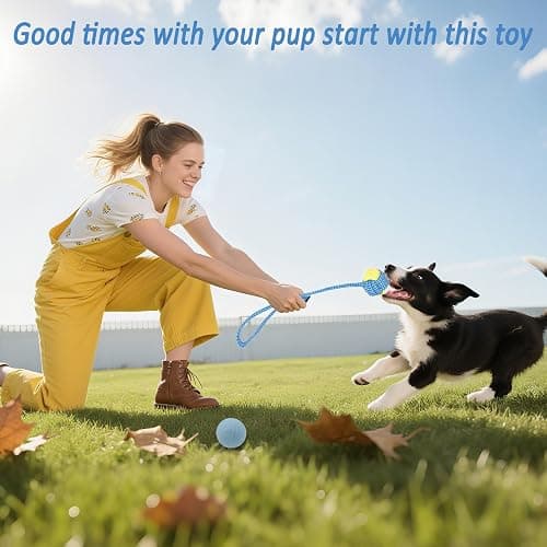 Beiker 20 Pack Puppy Chew Toys - Blue Dog Teething Toys for Puppies, Puppy Teething Rings and Ropes, Blue Rubber Toy Bundle for Small Dogs, Cute Interactive Dog Balls for Small Breed thumbnail 5