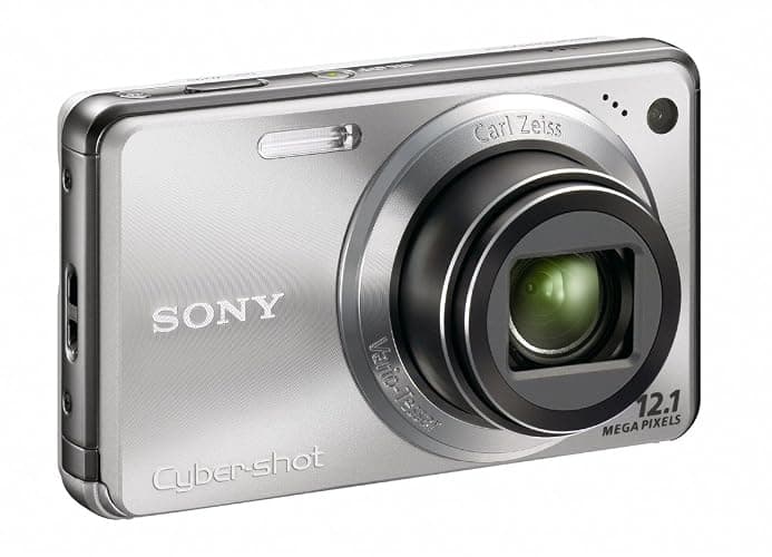 Sony Cyber-shot DSC-W290 12.1 MP Digital Camera with 5x Optical Zoom and Super Steady Shot Image Stabilization (Silver) thumbnail 6