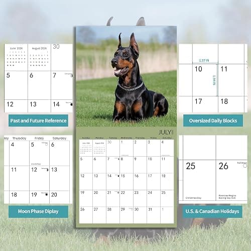 2025-2026 Wall Calendar,Doberman Wall Calendar, 12" x 24" Open,Family Planner Calendar Organizer with Doberman Images, for Dogs Lovers thumbnail 4