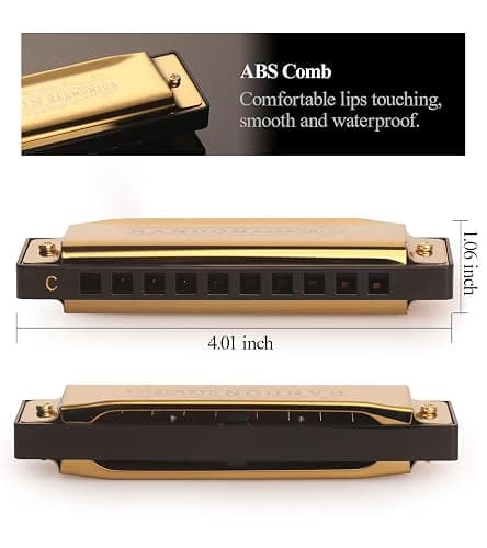 Randon Golden Harmonica Key of C with Case, 10 Holes 20 Tones Diatonic Harmonicas Mouth Organ, Blues Harmonica for Adults/Kids/Professional Players/Beginners, Vintage Style Harmonica, as a Gift thumbnail 4