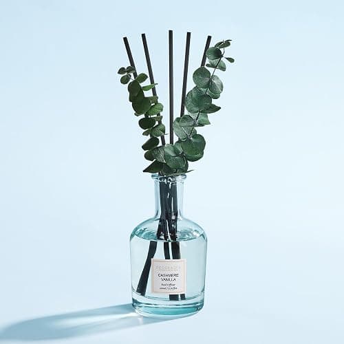 COCORRÍNA Cashmere Vanilla Reed Diffuser – 6.76 oz Essential Oil with 8 Reeds & Real Eucalyptus Sticks, Home Fragrance for Bedroom or Bathroom Décor thumbnail 2