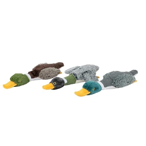 Best Pet Supplies Interactive Squeaky Dog Chew Toy, Ideal Dog Toys for Chewers, Small, Medium & Large Dogs, and Fetch Lovers - Mallard Duck Wing (Gray), Large thumbnail 6