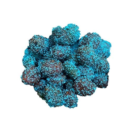 Extra Sour Gushers, Super Tangy Candy Bites, Irresistible Extra Sour Gummy Candy (8 Ounce, Blue-Raspberry) thumbnail 2