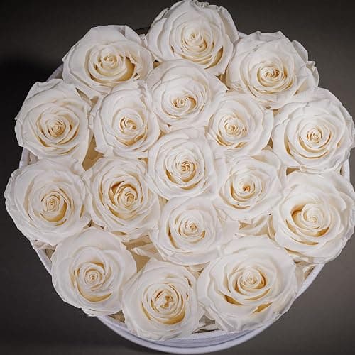 17 Flowers in a Luxury Suede Box, Birthday Gifts for Women, Preserved Flowers, Mothers Day Roses Gift for Mom, White - White - 17 Roses thumbnail 5