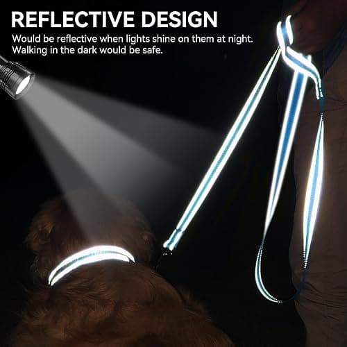 Joytale Dog Leash, 6 FT Double-Sided Reflective, Padded Handle Nylon Heavy Duty Leashes for Medium & Large Dogs Walking, SkyBlue thumbnail 4