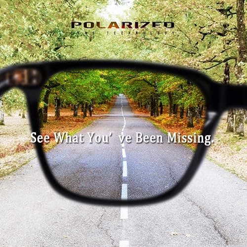 CARFIA Polarized Men's Sunglasses UV400 Protection for Driving Fishing Cool Man Acetate Shades CA5354L thumbnail 3
