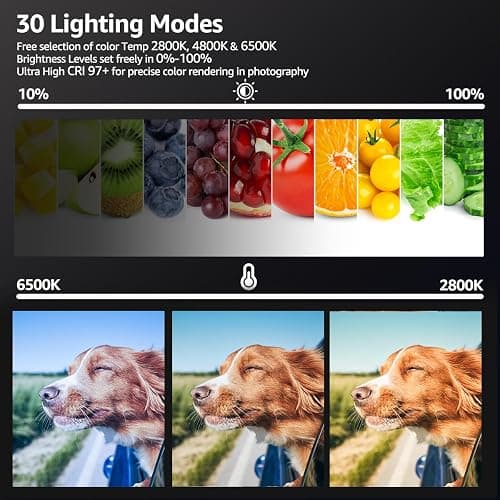 2-Pack LED Video Light Kit, NiceVeedi Studio Light, 2800-6500K Dimmable Photography Lighting Kit with Tripod Stand&Phone Holder, 73" Stream Light for Video Recording, Game Streaming, YouTube… - 15W-2 Pack thumbnail 3