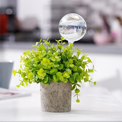 [6 PCS] Light Iridescent Rainbow Gradient Color Clear Glass Self-Watering System Spikes, Automatic Plant Waterer Bulbs thumbnail 8