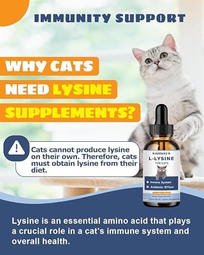 SANTKOL L-Lysine Supplement for Cats - Immune Support - 60ML Lysine for Feline Respiratory, Sneezing, Runny Nose, Eye Function - Natural Cat Antibiotic Drops - Roast Chicken Flavor thumbnail 3