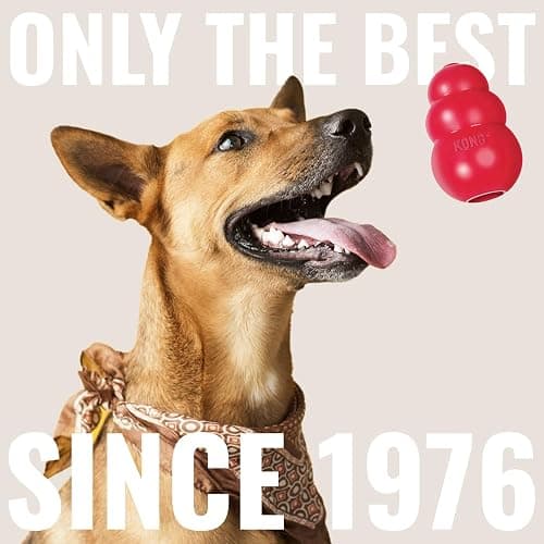 KONG Floppy Knots & Signature Balls (2 Pack) - Knotted Dog Toy Entices Play & Satisfies Instincts - Dog Supplies with Minimal Stuffing - Strong Dog Toy Balls for Fetch - Elephant, for Large Dogs thumbnail 6