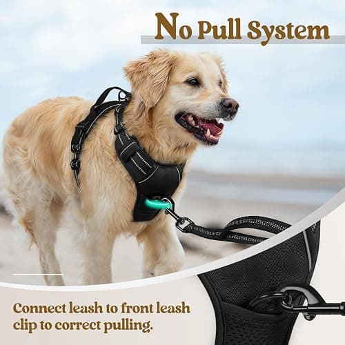 rabbitgoo Dog Harness, No Pull for Large Dogs with 2 Leash Clips, Pet Vest | No Choke with Handle, Adjustable Soft Padded, Reflective, Easy Control for Walking, Black, Large thumbnail 5