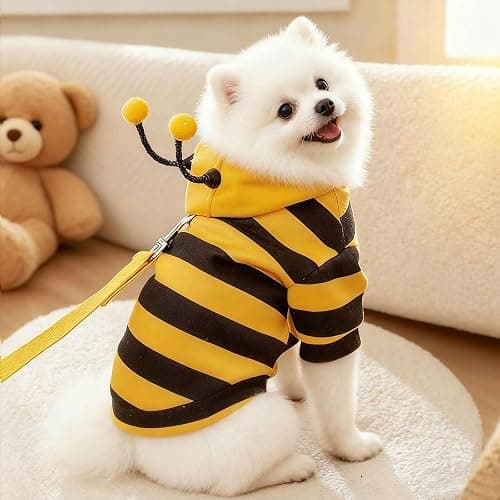 Bumblebee Cat Costume for Sphynx & Small Dogs, Fit Halloween, Yellow, XS | Cute Bee Stripes Hoodie, Soft Warm Fleece, Holiday Cosplay Outfit, Daily Leisure Wear, Easy to Put, Safe for Leash Walking thumbnail 6