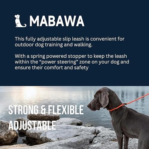 Dog Anti-Slip Leash 5FT with Metal Stopper - Durable No-Pull Training Lead for Small, Medium & Large Dogs - Comfortable Handle Nylon Rope, Tangle-Free Pet Walking Leash (Beige, 5.6FT) thumbnail 2