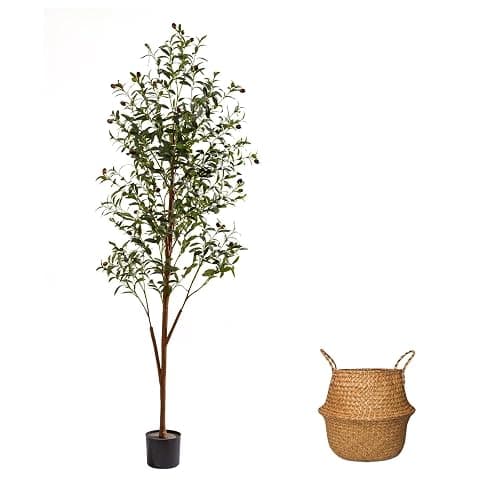 CyanZen 6FT Artificial Olive Tree Indoor, Tall Faux Olive Tree with Pot&Basket, Large Fake Olive Tree with Realistic 1080 Silk Leaves and 60 Fruits for Living Room Home Office Decor. - Image 1