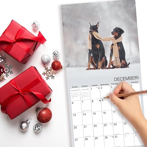 2025-2026 Wall Calendar,Doberman Wall Calendar, 12" x 24" Open,Family Planner Calendar Organizer with Doberman Images, for Dogs Lovers thumbnail 2