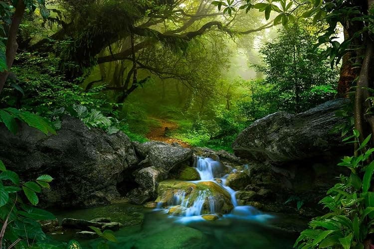 Wmjurel Primitive Forest Waterfall Wallpaper, Modern Large Background Wall Mural for Living Room and Plant Room(Non-self-Adhesive) thumbnail 4